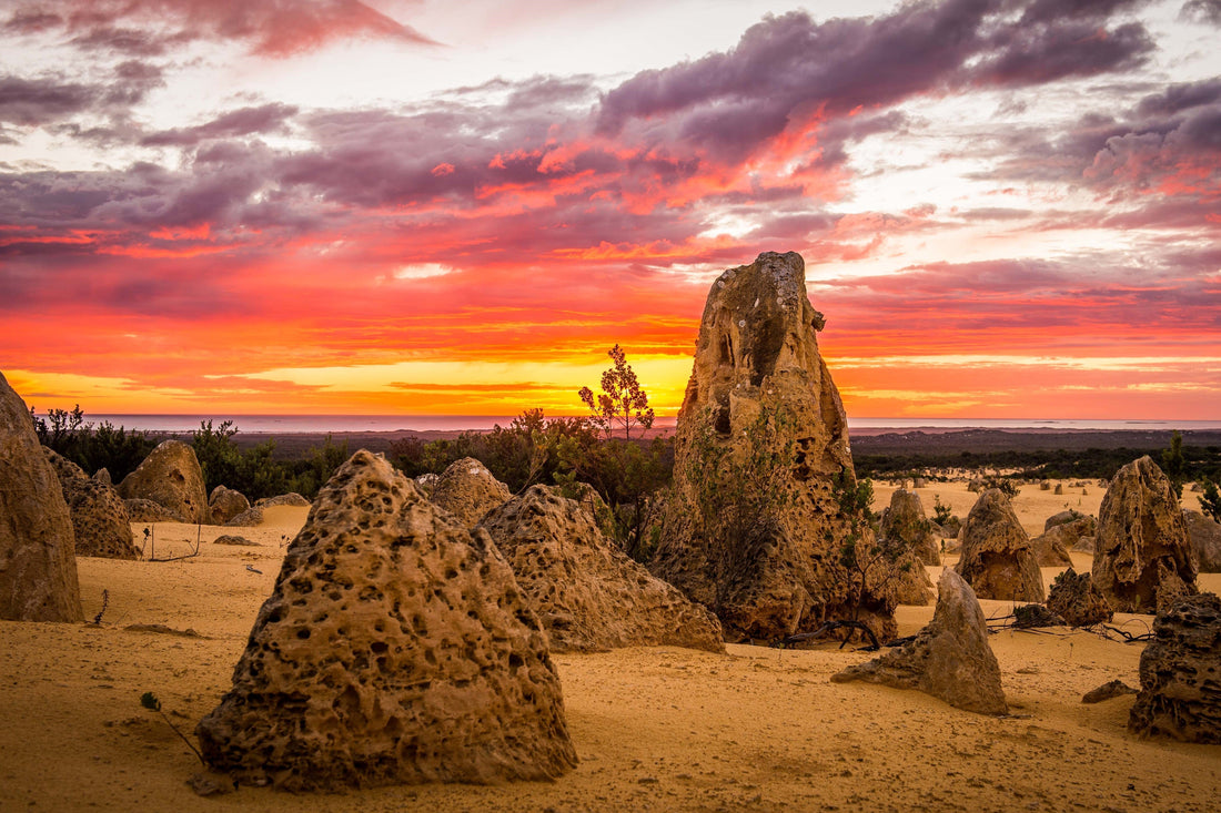 Best Time to Visit the Pinnacles Desert WA for Sunset and Stargazing: Sustainable 2026 Guide - Zero Trace Tours