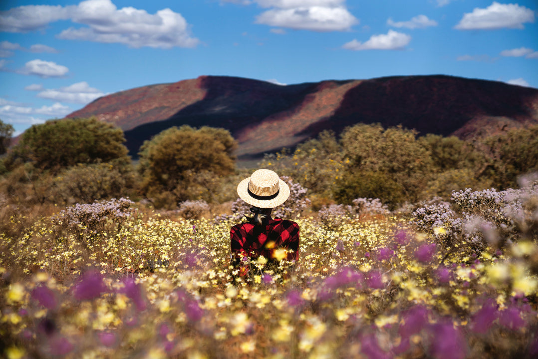 The Ultimate Guide to Seeing Western Australia's Wildflowers - Zero Trace Tours