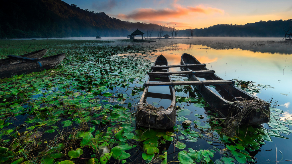 Bali Without Scooters: The Safe, Stress-Free 12-Day Plan (Drivers, Boats &amp; Walkable Bases)