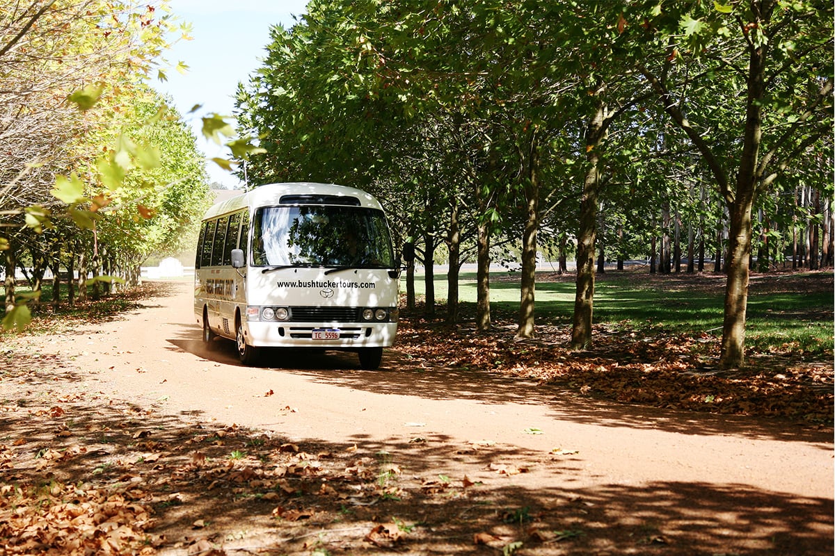 How to Choose the Right Guided Tour Company: 10 Questions You Must Ask - Zero Trace Tours