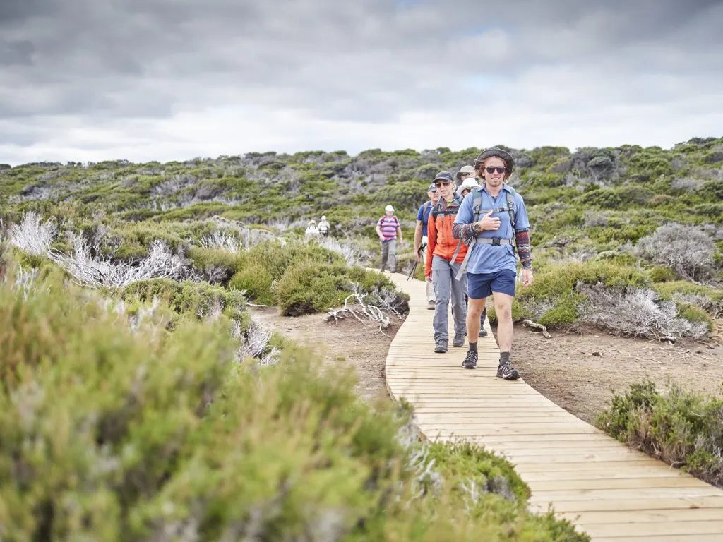 The Smart Traveller’s CO₂ Playbook: Measure It, Then Cut It