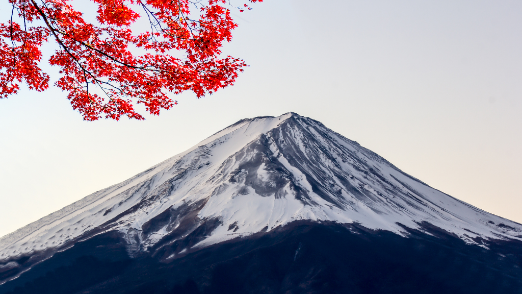 Japan in Spring vs Autumn: Which Season Should You Choose? (with 10/14-Day Routes)