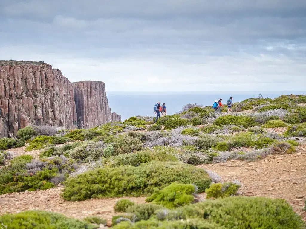 Guided vs Self-Guided on the Three Capes: Costs, Comfort & What’s Included