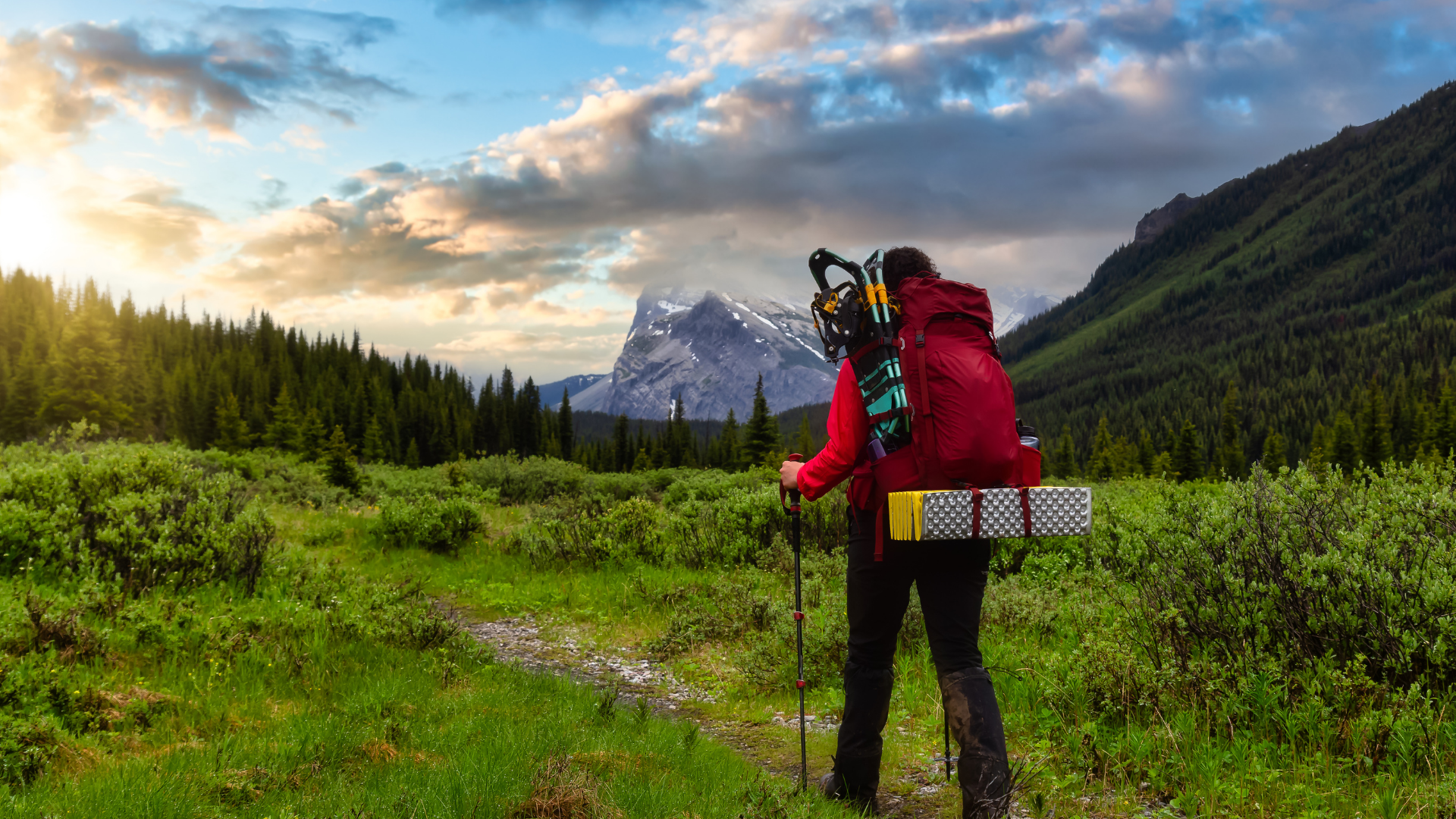 Top 10 Climate-Positive Adventure Destinations for 2026 - Zero Trace Tours