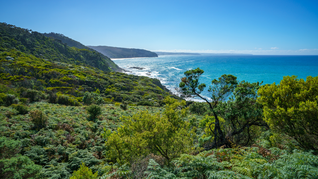 Regenerative Travel 2026: How Zero Trace Restores 200% - Zero Trace Tours