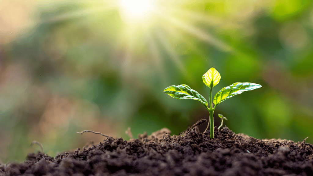 7 Signs a Tour Company is Greenwashing You