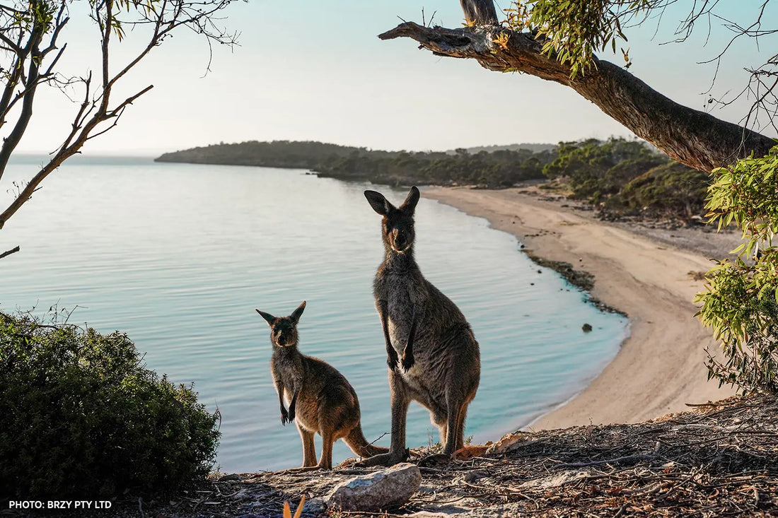 Ethical Wildlife Adventures That Restore Habitats in 2026 - Zero Trace Tours