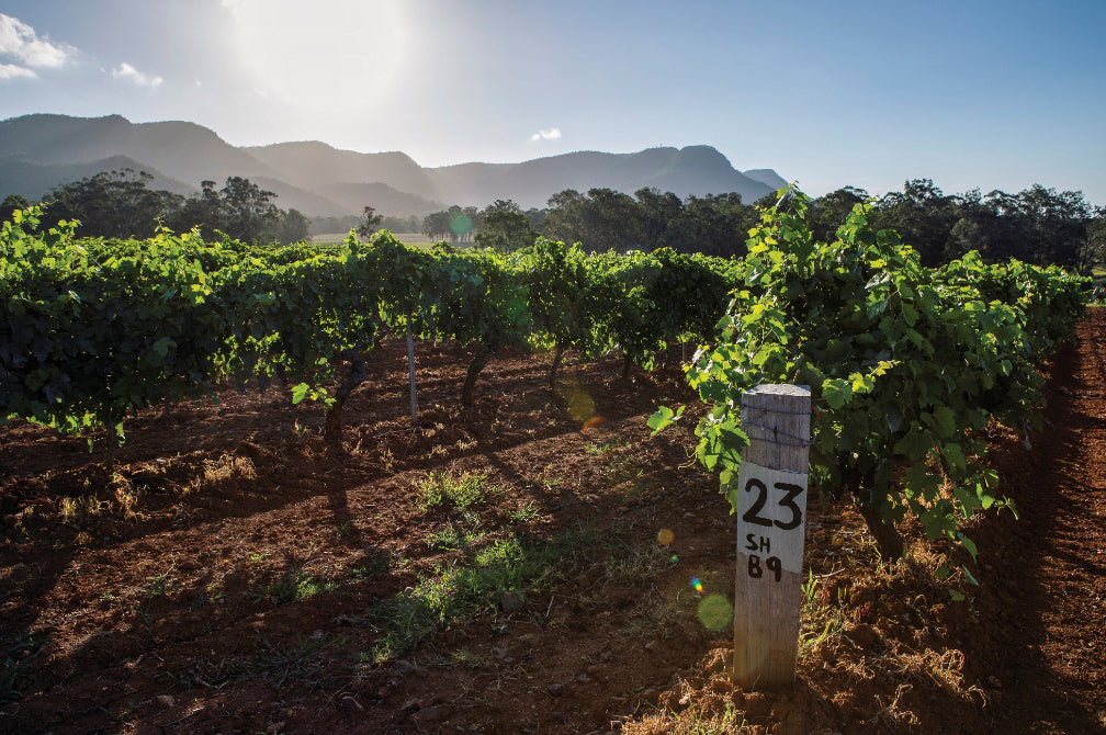 Hunter Valley & Wine Country - Zero Trace Tours