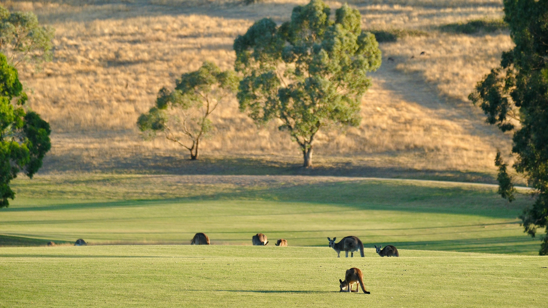 Australian Capital Territory (ACT)