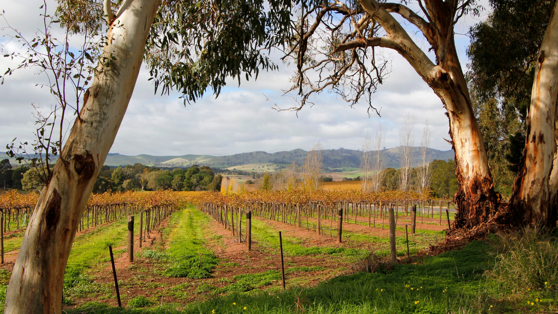Adelaide & Barossa Valley - Zero Trace Tours
