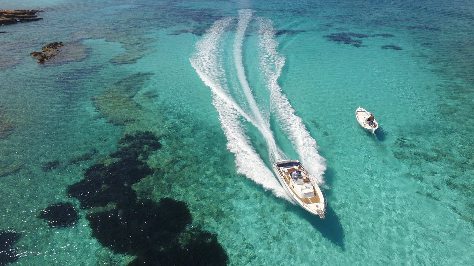 Ocean & Cruise Expeditions