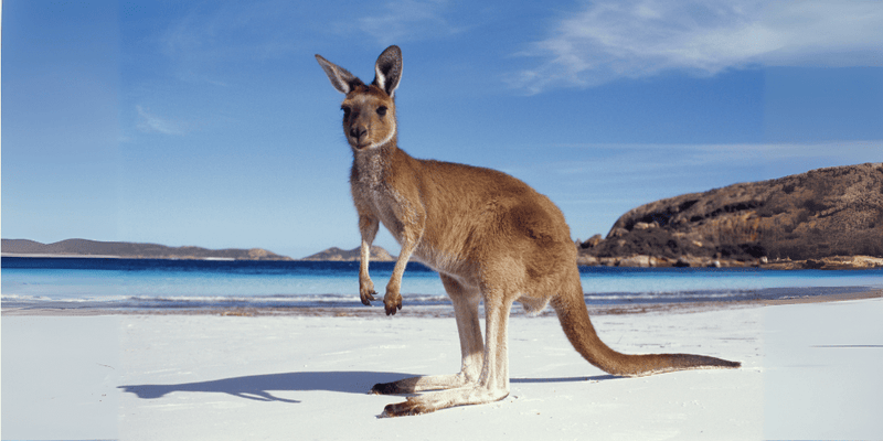 Australia & New Zealand Tours - Zero Trace Tours