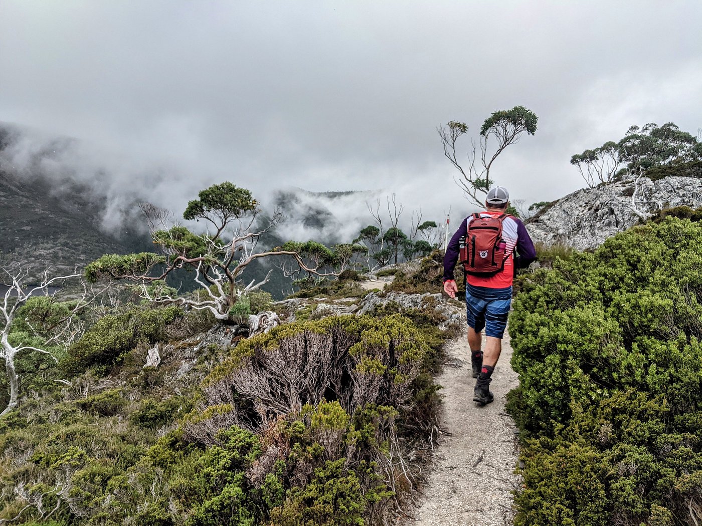 Cradle Mountain & Wilderness - Zero Trace Tours