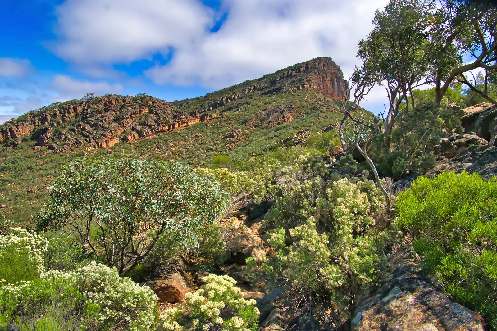 Flinders Ranges & Outback - Zero Trace Tours