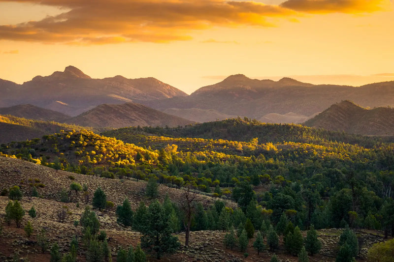 South Australia (SA)