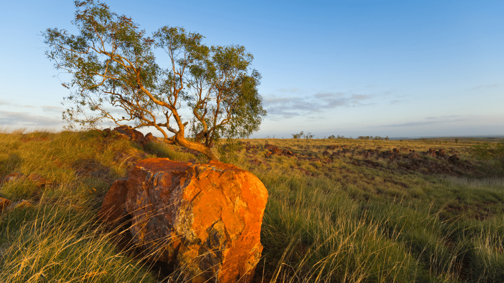 Climate-Positive Picks