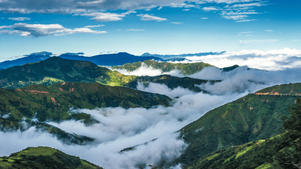 Amazon Immersion | 7-Day Homestay with Canoes, Cacao & Cascades