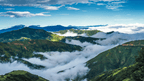 Amazon Immersion | 7-Day Homestay with Canoes, Cacao & Cascades