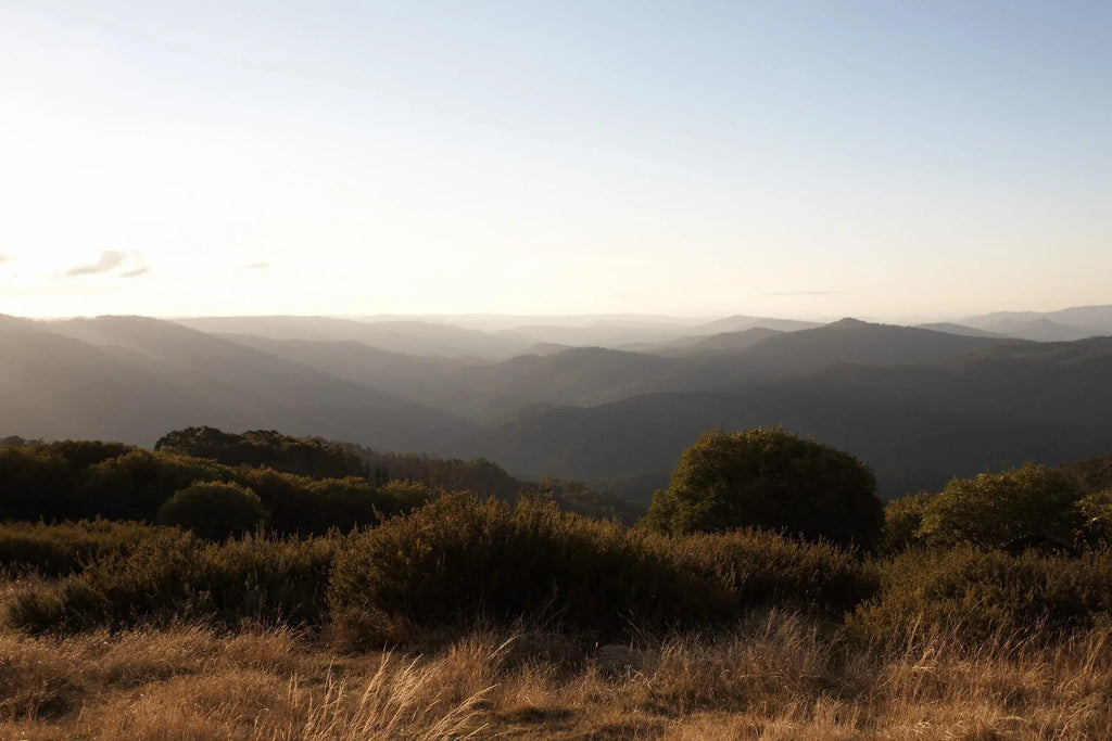 Stunning panoramic view of the Victorian Alps at sunset, showcasing rugged mountains and lush hills.