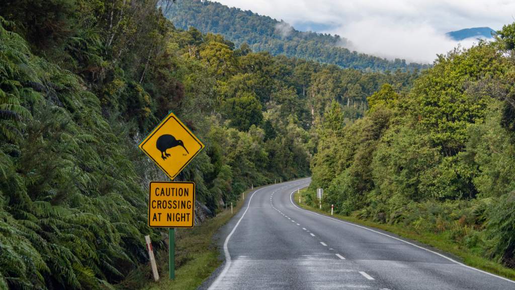 New Zealand Action Adventure | 8–22 Days of Gorges, Glaciers & Glowworms