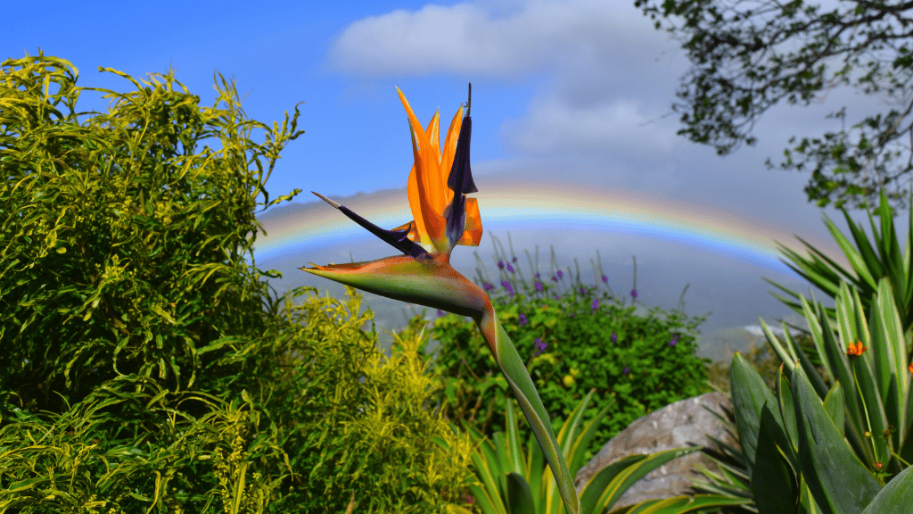 Costa Rica to Colombia: 27 Days of Coasts, Coffee & Culture | San José → Medellín