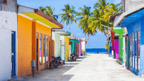 Reefs, Sharks & Sandbanks | 7-Day Maldives Snorkel & Island Escape