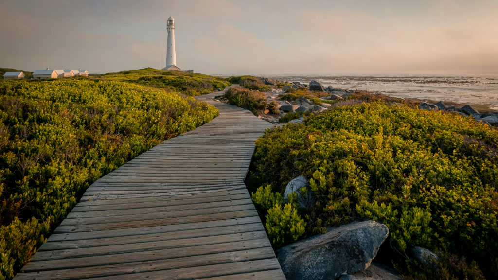 Coasts, Cliffs & Culture of Newfoundland | 8 or 18 Days on Canada’s Atlantic Edge