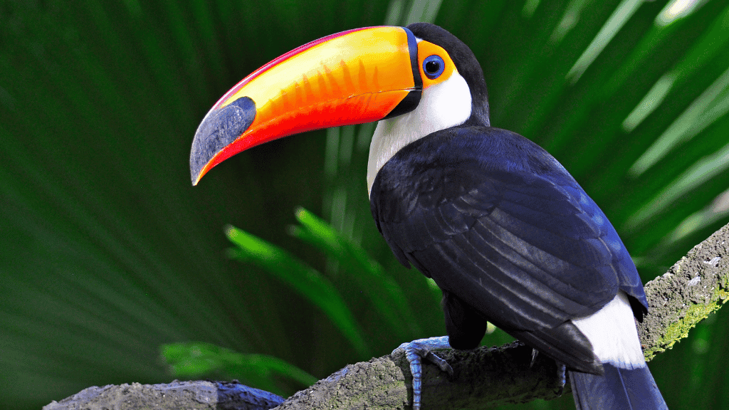 Andes to Amazon | 21 Days of Peru’s Grand Circuit & Machu Picchu by Train