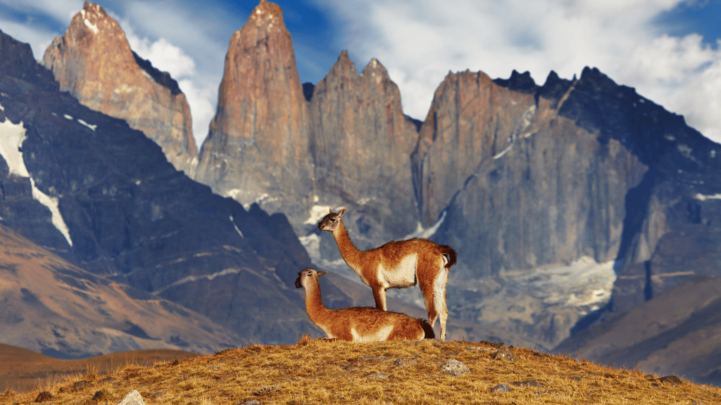 Patagonia Two Ways in 14-Days | Signature Sights or Serious Trails