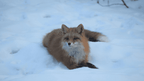 Ridge Walks, Ice Treks &amp; Kayaks | 14-Day Wild Alaskan Adventure