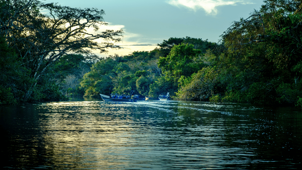 Amazon Immersion | 7-Day Homestay with Canoes, Cacao & Cascades