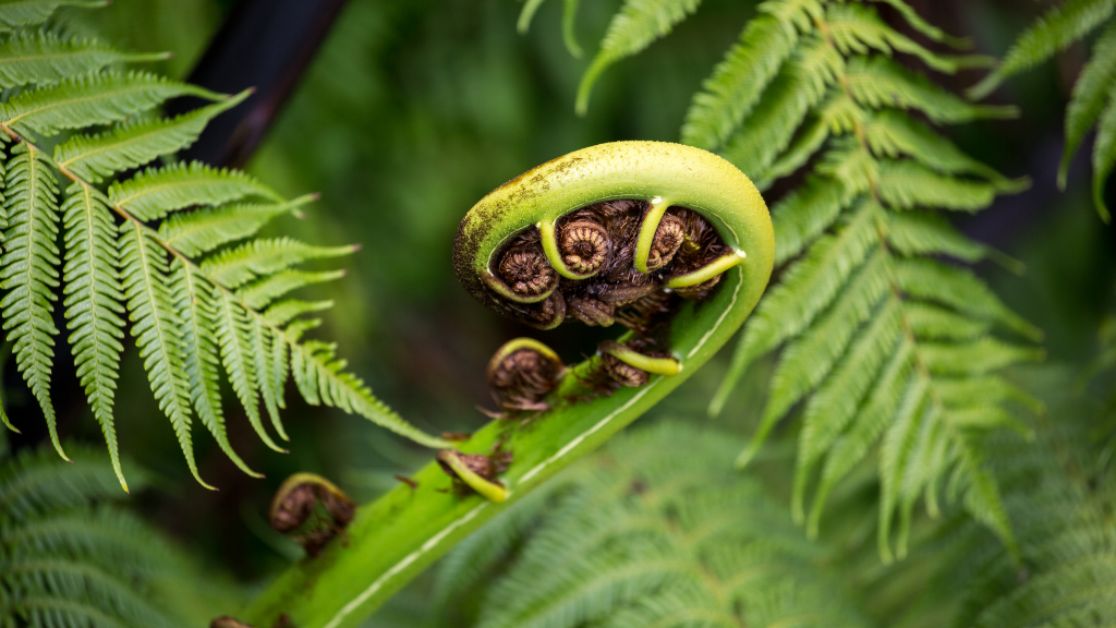 New Zealand Action Adventure | 8–22 Days of Gorges, Glaciers & Glowworms