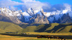Horses grazing in a lush Kyrgyz valley with snow-capped peaks, a scenic view on the 14-23 Day Central Asia Silk Road Tour.