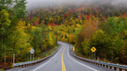 Curvy road through a forest with autumn foliage
