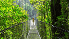 Costa Rica Pura Vida: Volcanoes, Cloud Forests & Wild Coasts | San José → San José (9/16 Days)