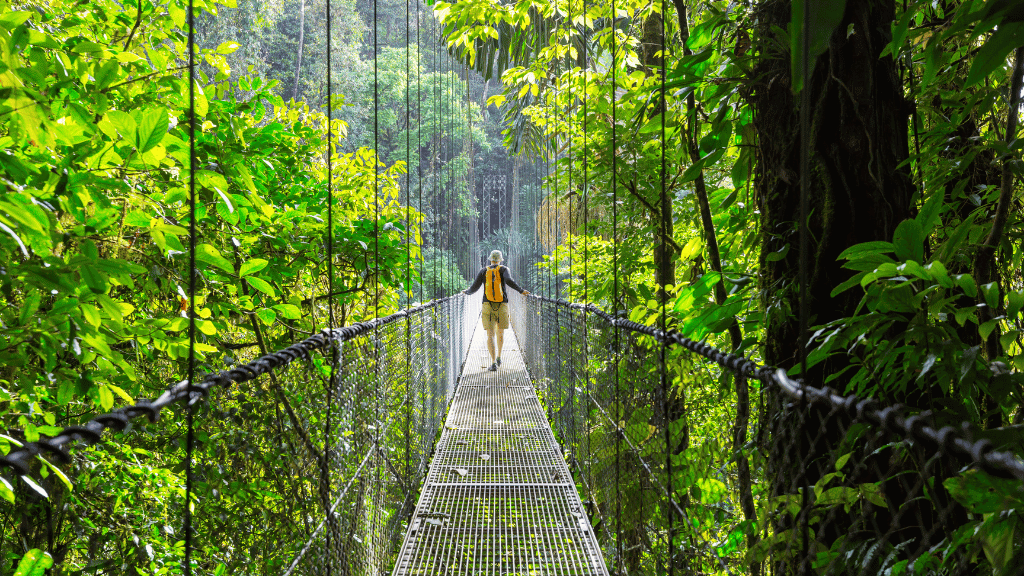 Costa Rica Pura Vida: Volcanoes, Cloud Forests & Wild Coasts | San José → San José (9/16 Days)