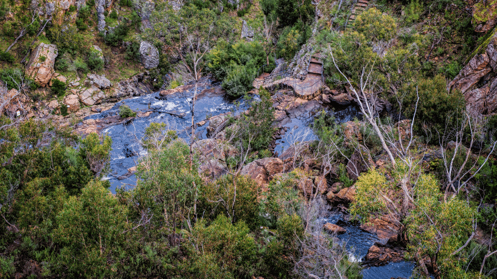 Scenic view of a shimmering creek surrounded by lush greenery in the northern Grampians.