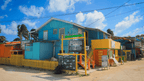 Rainforest Paths to Marine Gardens | 9-Days from Belize City → Caye Caulker