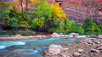 Icons of Western USA | 10–18 Days of Coast, Canyons & Giant Trees