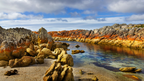 Fiery Bays & Pristine Shores: 4-Day Bay of Fires Guided Walk