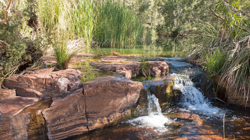 Perth to Broome West Coast Bus Adventure: 9–14 Day Small-Group Tour (One-Way or Return)