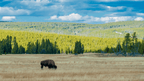 Geysers & Grizzlies | Yellowstone & Grand Teton — 6-Day Jackson Loop