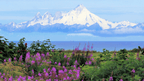Ridge Walks, Ice Treks &amp; Kayaks | 14-Day Wild Alaskan Adventure