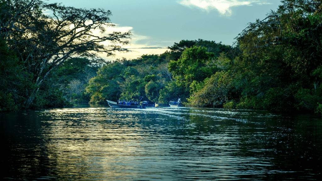 Tourists on motorboats exploring Borneo rivers at dusk, included in 7-day orangutan and night wildlife viewing experience.