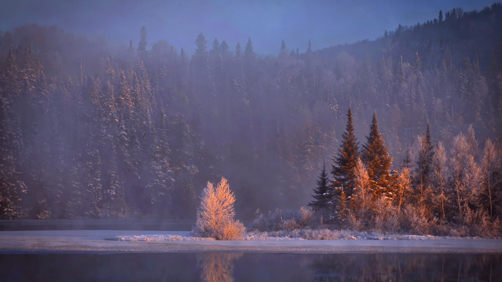 Northern Québec (Summer or Winter) Escape | 7 Days of Fjord Views, Forest Trails & Lodge Comfort