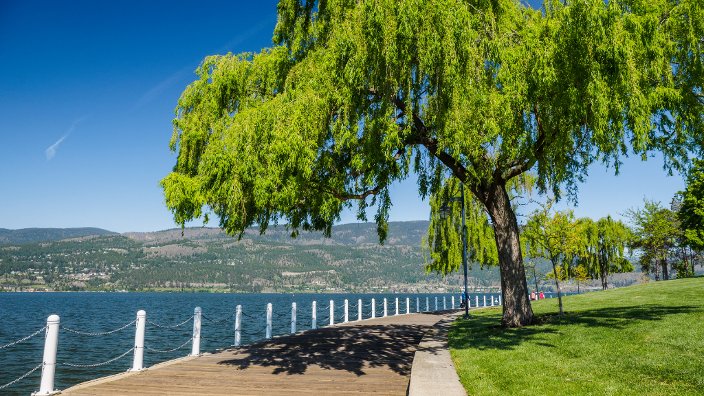 The Rockies 8-Day Turquoise Corridor | Banff, Jasper, Whistler & the Okanagan — Vancouver ⇄ Calgary
