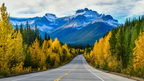 Scenic road flanked by trees with autumn foliage and mountains in the background