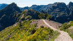 Mountain trail lined with wildflowers and volcanic peaks, part of the 6-days hiking Madeira’s trails experience.