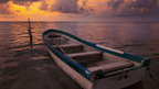 Rainforest Paths to Marine Gardens | 9-Days from Belize City → Caye Caulker