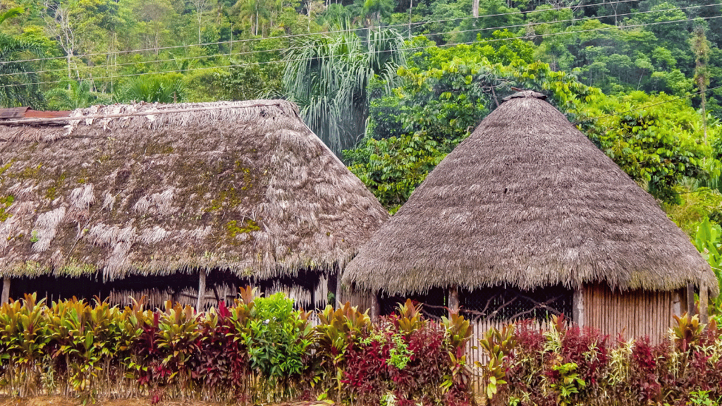 Amazon Immersion | 7-Day Homestay with Canoes, Cacao & Cascades